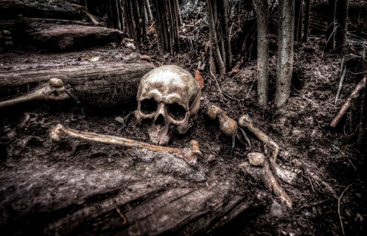 Dream Meaning of Bones