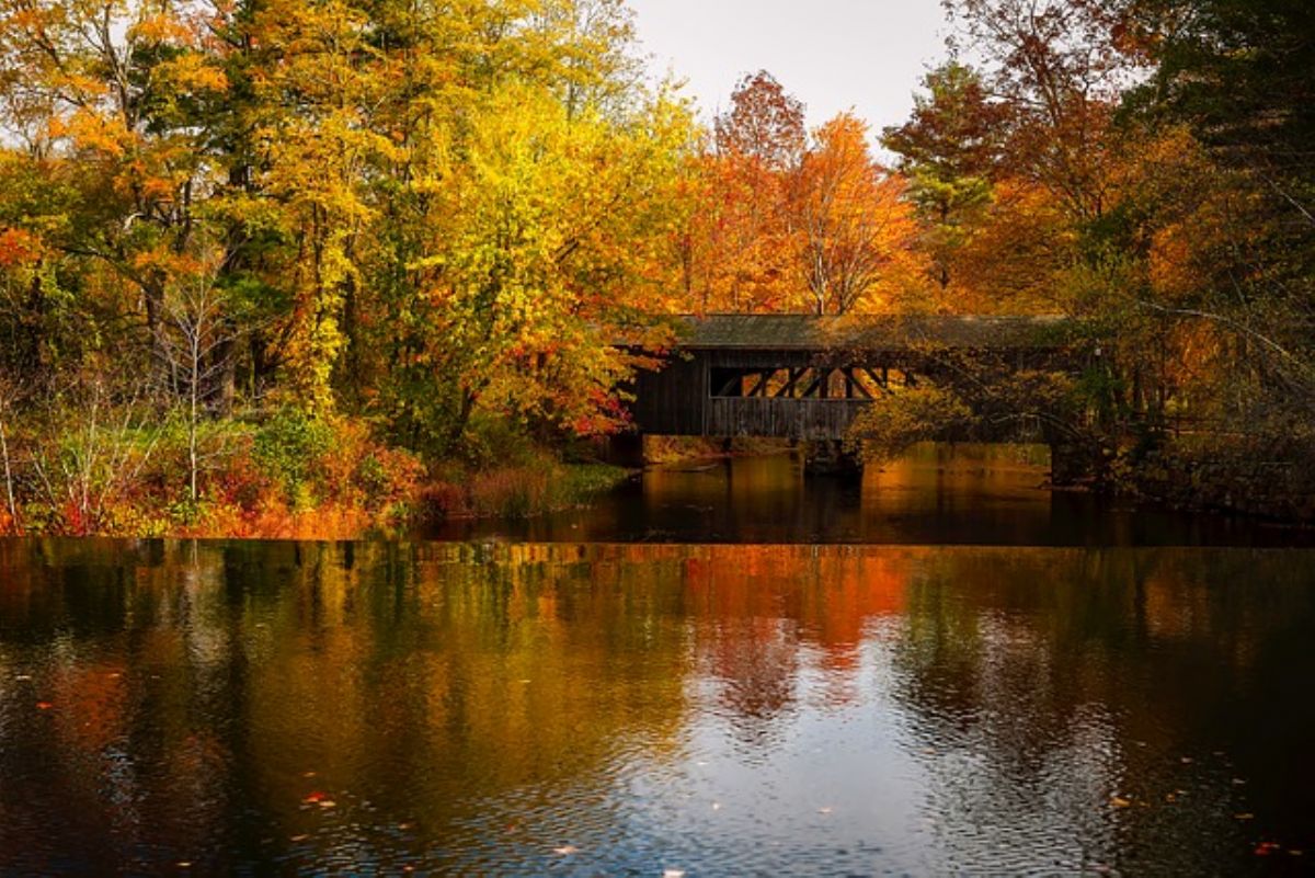 Dream Meaning of a Bridge