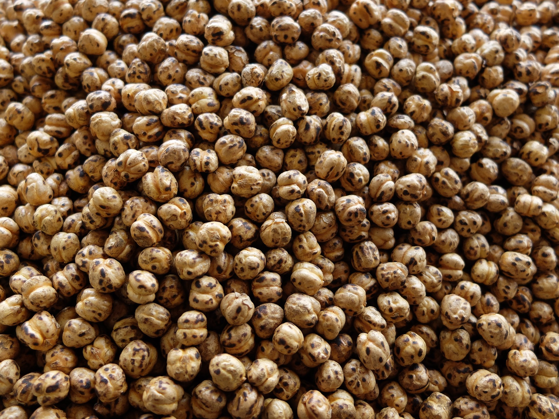 Dream Meaning of Roasted Chickpea