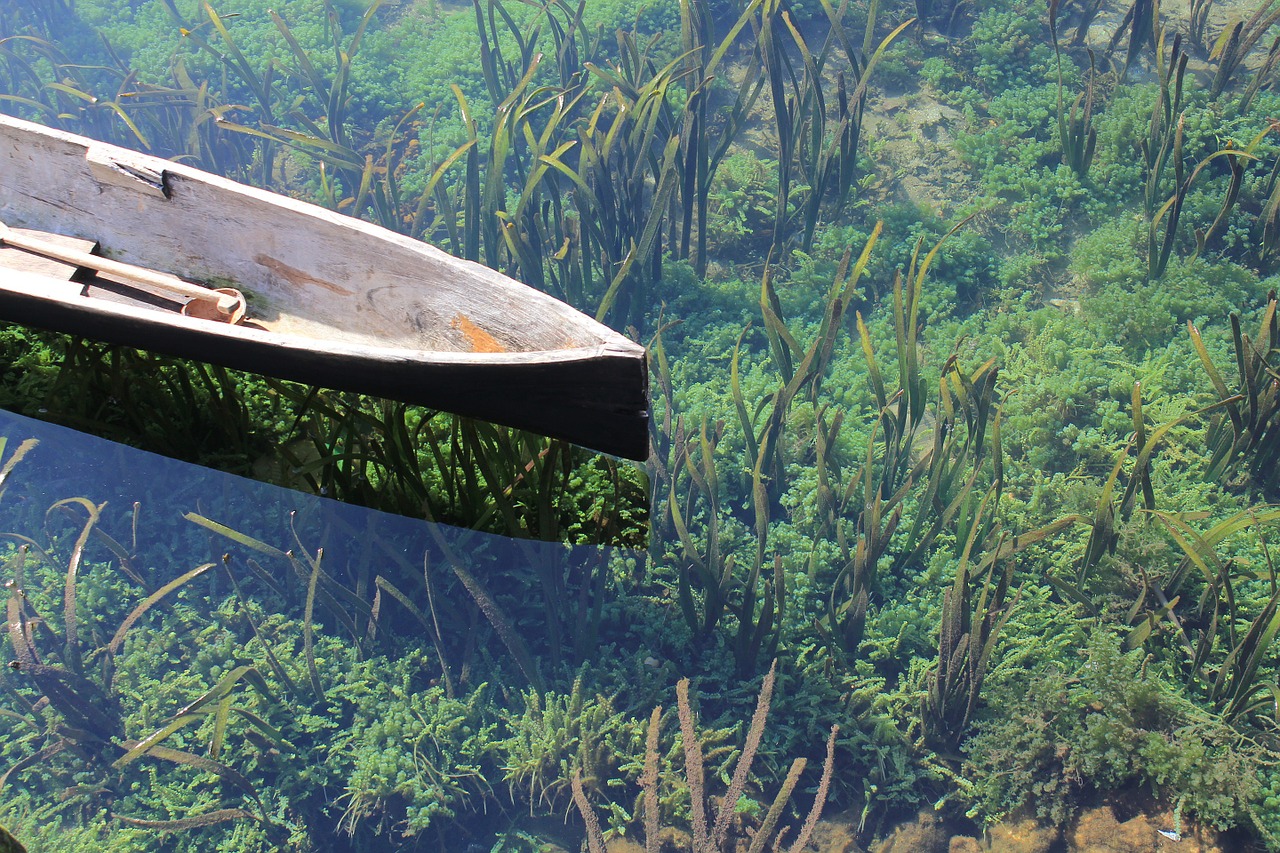 Dream Meaning of Canoe