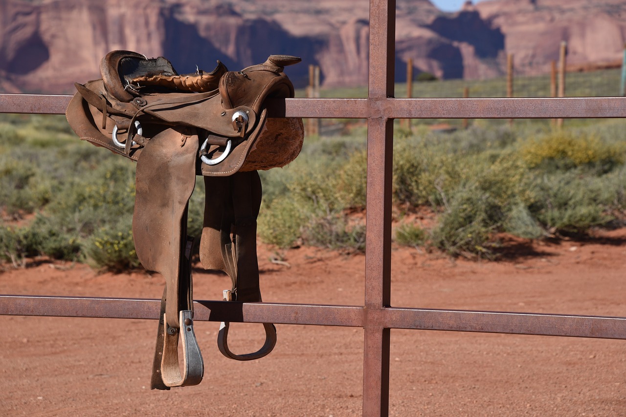 Dream Meaning of Saddle