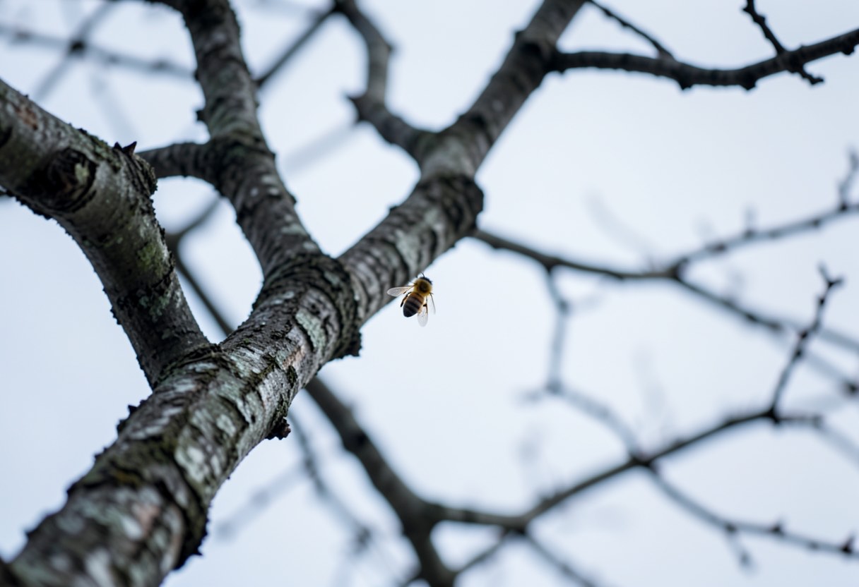 Dream Meaning of Killing a Bee