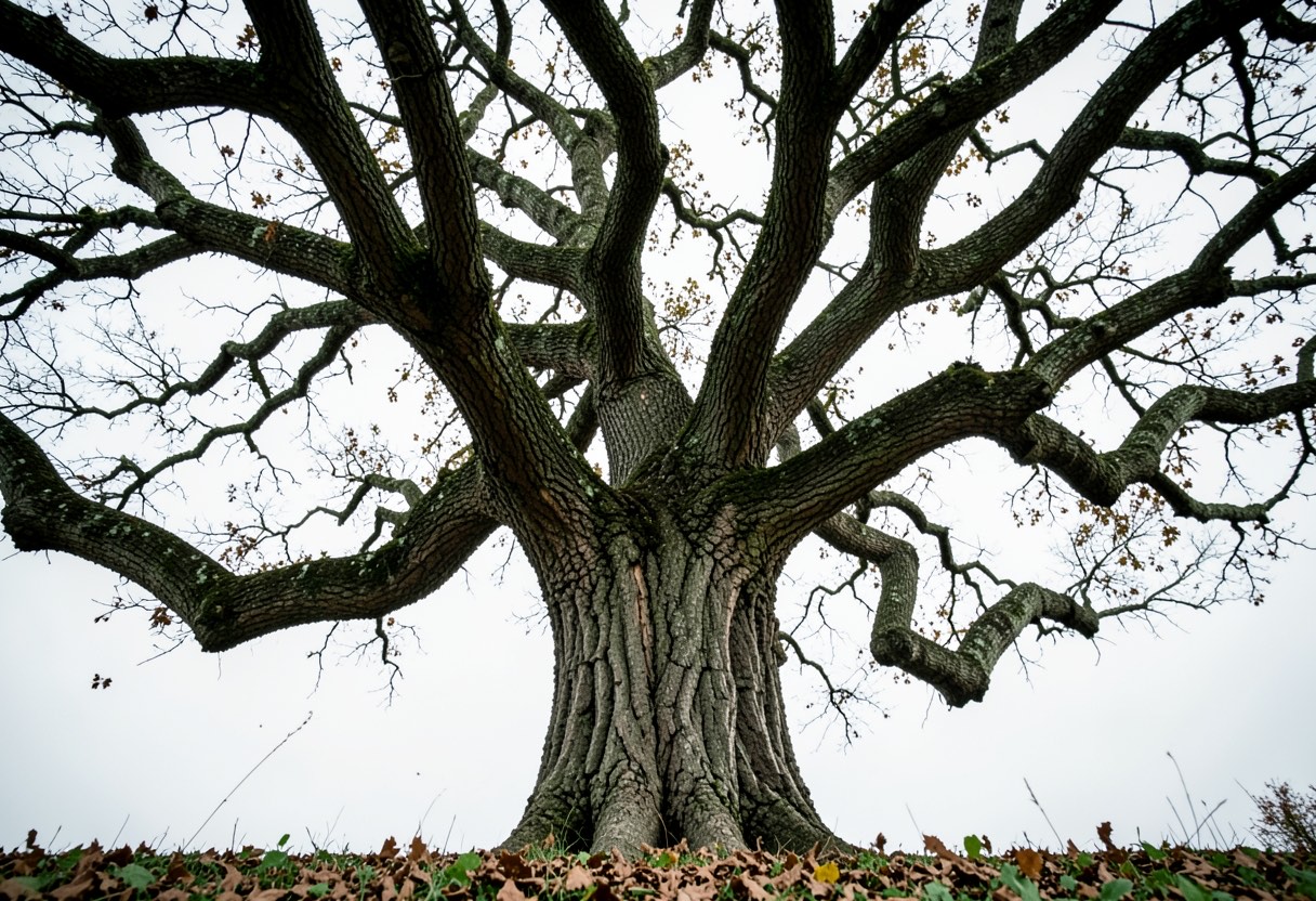 Dream Meaning of Lifespan
