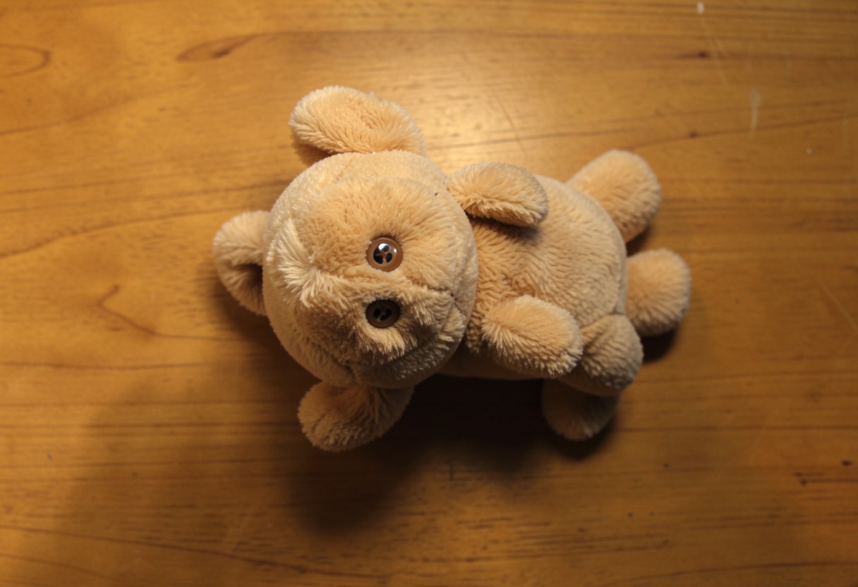 Dream Meaning of Toy Dog