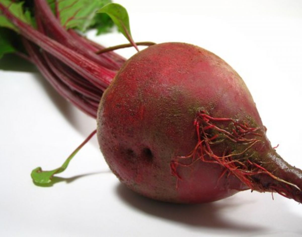 Beet Dream Meaning