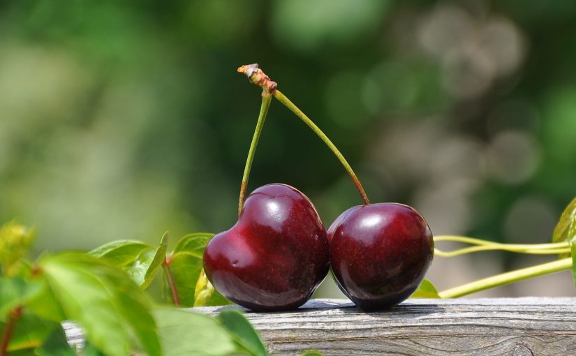 Dream Meaning of Sour Cherry