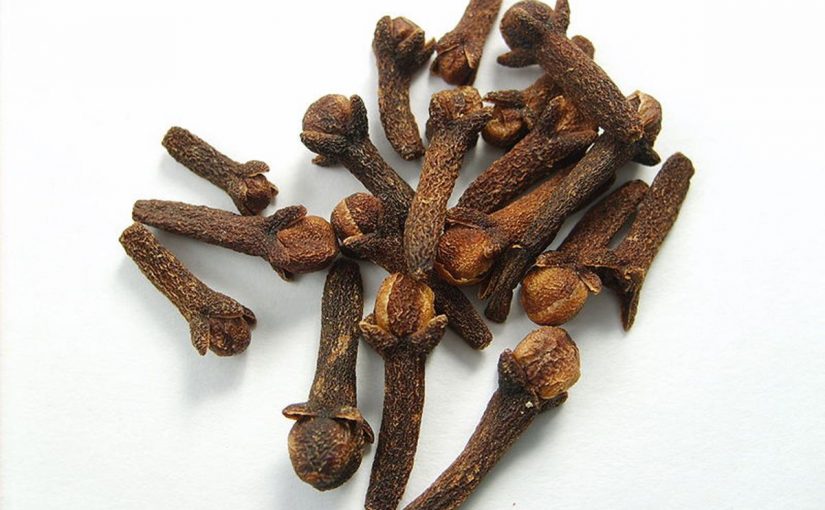 Dream Meaning of Cloves