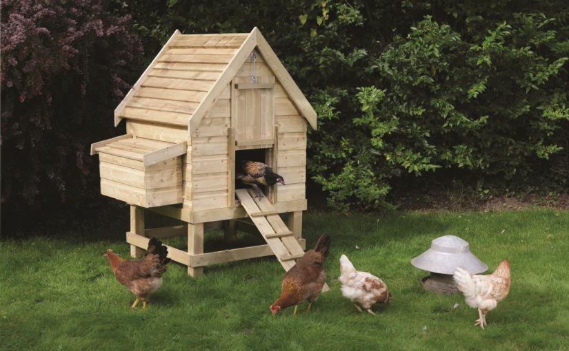 Dream Meaning of Coop (Poultry House)