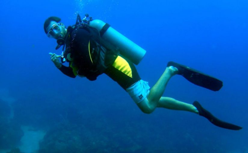 Dream Meaning of Diver