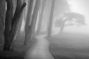 Dream Meaning of Fog