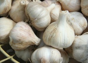 Dream Meaning of Garlic