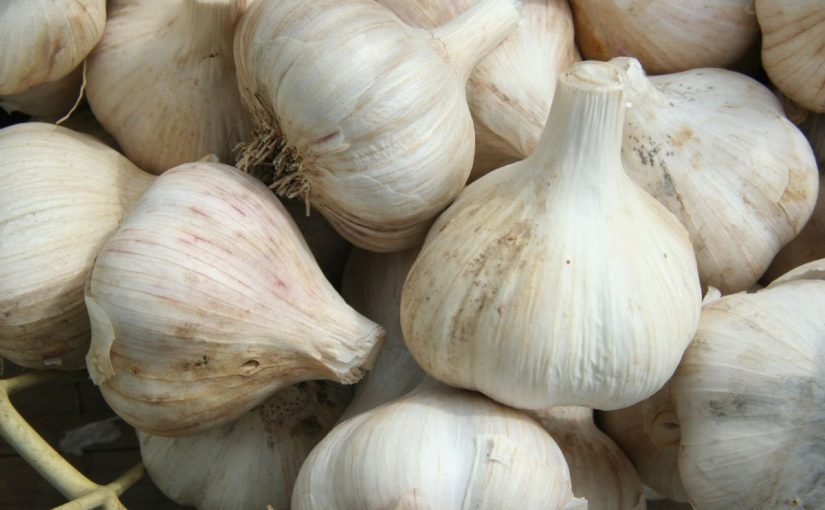 Dream Meaning of Garlic