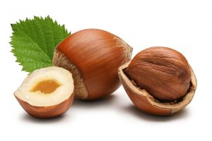 Dream Meaning of Hazelnut
