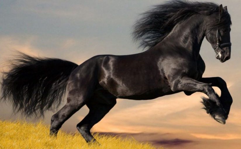 Dream Meaning of Horse
