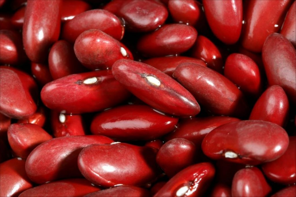 Dream Meaning of Kidney Bean