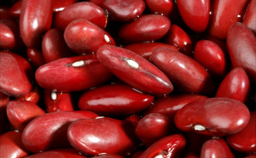 Dream Meaning of Kidney Bean