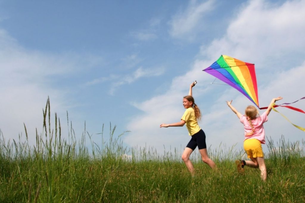 Dream Meaning of Kite