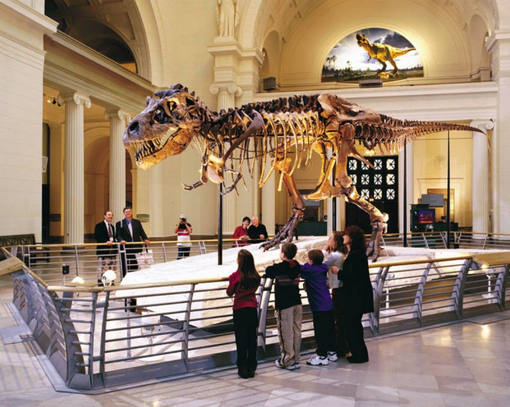 Dream Meaning of Museum