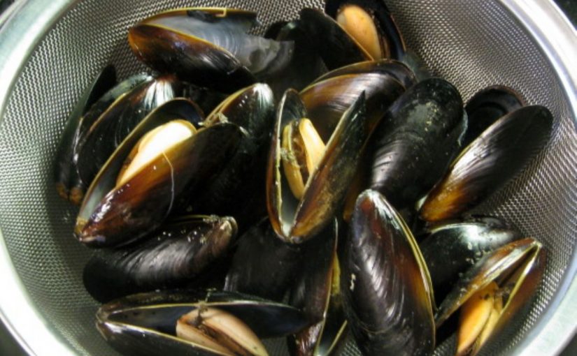 Dream Meaning of Mussel