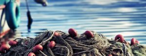 Dream Meaning of Net