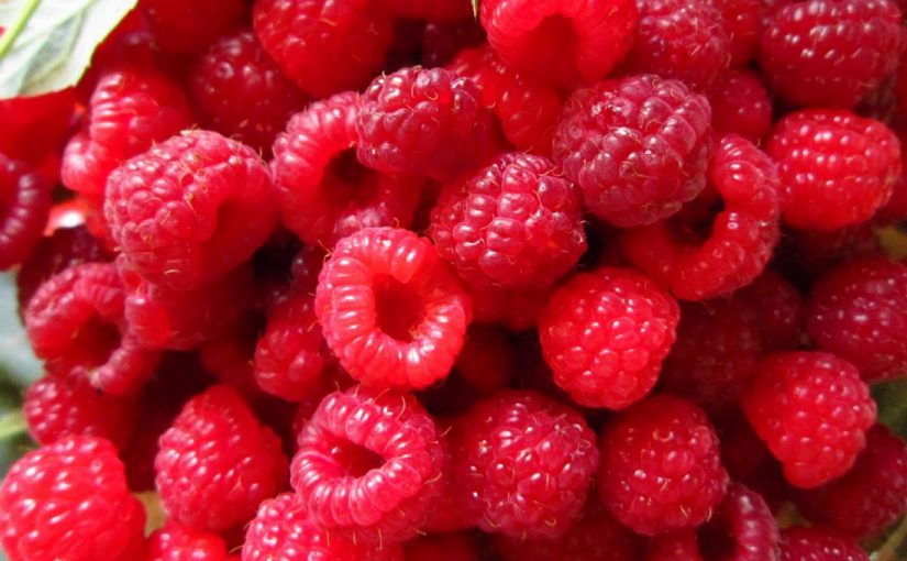 Dream Meaning of Raspberry
