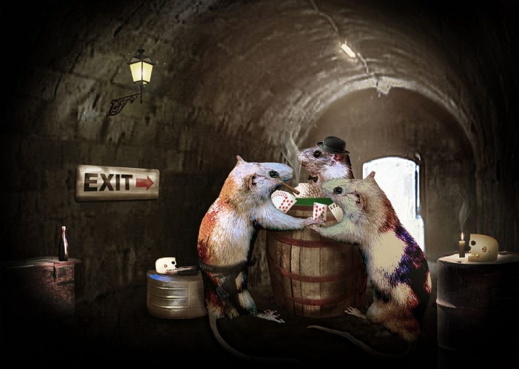 Dream Meaning of Sewer Rat
