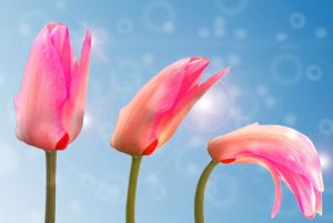Dream Meaning of Number Three