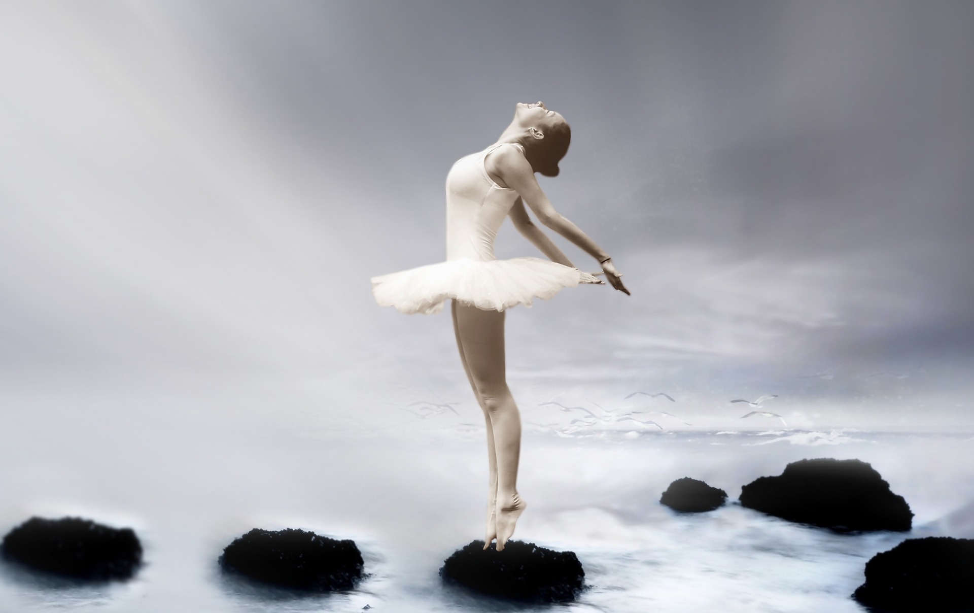 bidragyder instinkt vin Dream Meaning of Ballet - Dream Interpretation
