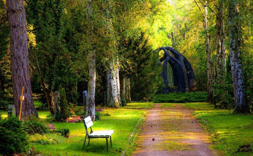 Dream Meaning of Park